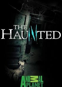 Watch The Haunted