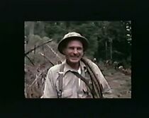 Watch Spartree (Short 1978)