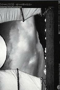 Watch Minamata nikki: Yoigaeru tamashii o tazunete