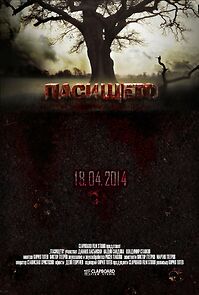 Watch Pasishteto (Short 2014)