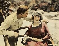 Watch Back to the Woods