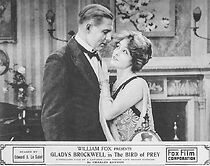 Watch The Bird of Prey