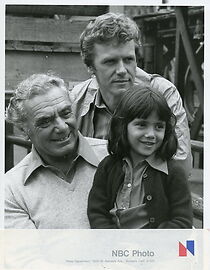 Watch Cops and Robin