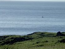 Watch Boya oceanográfica