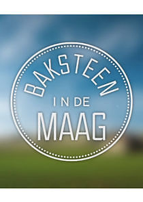 Watch Baksteen in de Maag