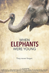 Watch When Elephants Were Young