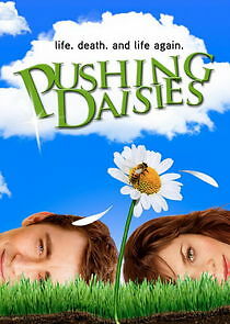 Watch Pushing Daisies