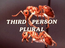 Watch Third Person Plural