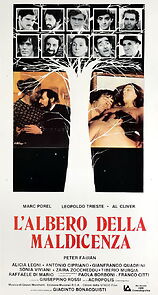 Watch L'albero della maldicenza