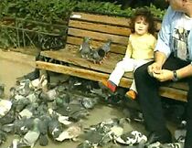 Watch A Tribute to Giorgos Himonas (TV Short 2001)