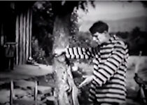 Watch The Modern Prodigal (Short 1910)