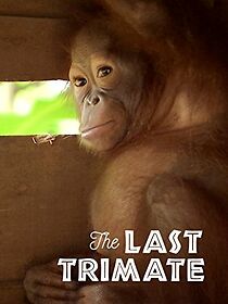 Watch The Last Trimate