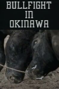 Watch Bullfight in Okinawa (Short 1994)