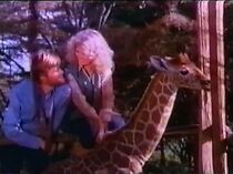 Watch The Last Giraffe