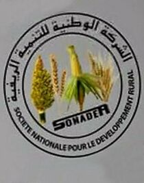 Watch Reewo Daande Maayo