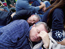 Watch Run, Rabbit, Run