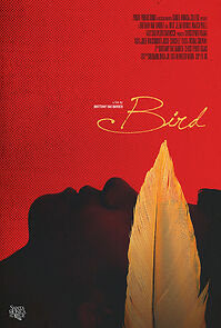 Watch Bird (Short 2014)