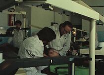 Watch Toothache (Short 1980)