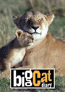 Watch Big Cat Diary