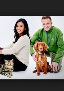 Watch Cats v Dogs: Which is Best?