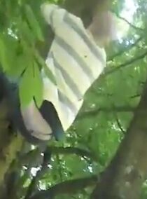 Watch Mugsey Grant Tree Tales (Short 2014)