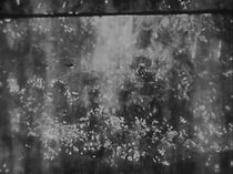 Watch Watercourse (Short 2014)