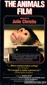 Watch The Animals Film