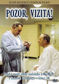 Watch Pozor, vizita!