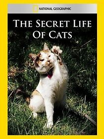 Watch The Secret Life of Cats