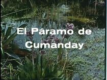 Watch El páramo de Cumanday (Short 1965)