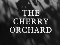 Watch The Cherry Orchard