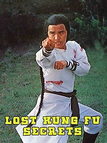 Watch The Lost Kung Fu Secrets