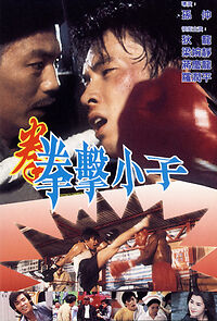 Watch Destiny's Champion