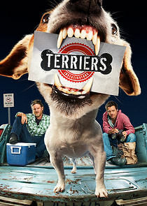 Watch Terriers