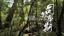 Watch A Year in the Clouds