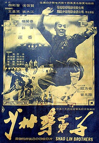 Watch The Shaolin Brothers