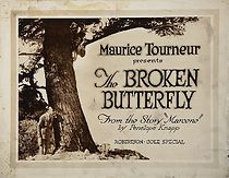 Watch The Broken Butterfly