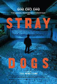 Watch Stray Dogs