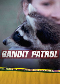 Watch Bandit Patrol
