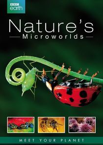 Watch Nature's Microworlds