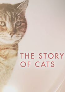 Watch The Story of Cats