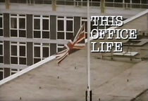 Watch This Office Life