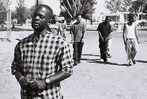 Watch Turntable Trauma (Short 2004)