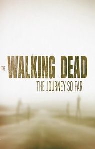 Watch The Walking Dead: The Journey So Far
