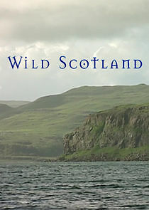 Watch Wild Scotland