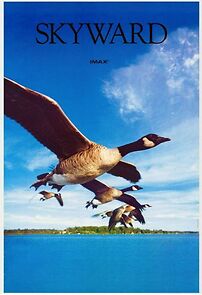 Watch Skyward (Short 1985)