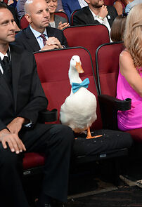 Watch The 2017 ESPY Awards (TV Special 2017)