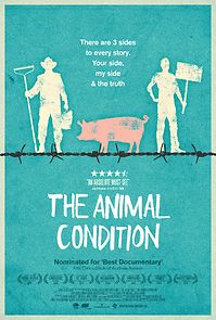 Watch The Animal Condition
