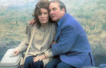 Watch Les étonnements d'un couple moderne