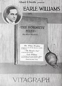 Watch The Hornet's Nest